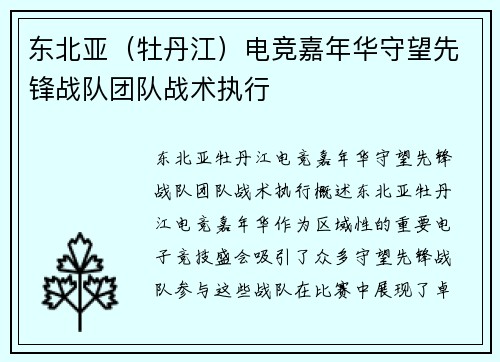 东北亚（牡丹江）电竞嘉年华守望先锋战队团队战术执行