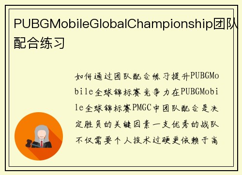 PUBGMobileGlobalChampionship团队配合练习