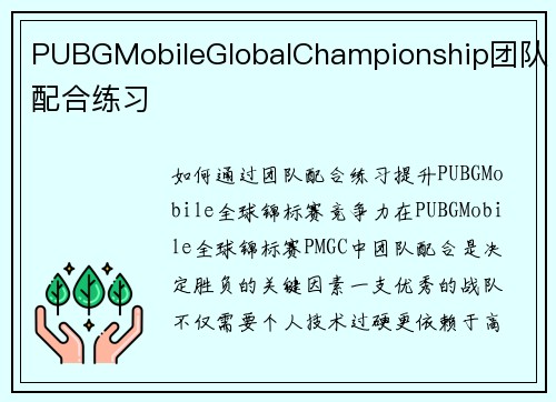 PUBGMobileGlobalChampionship团队配合练习