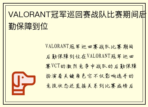 VALORANT冠军巡回赛战队比赛期间后勤保障到位