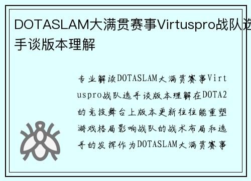DOTASLAM大满贯赛事Virtuspro战队选手谈版本理解
