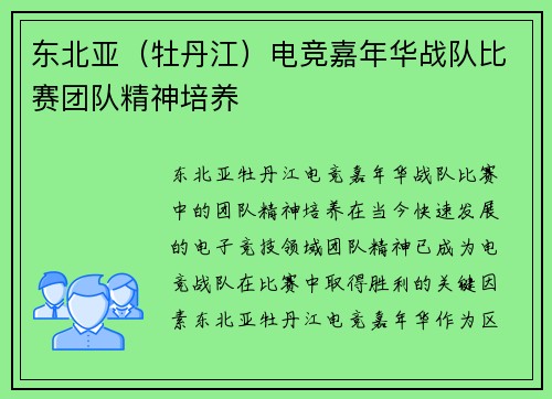 东北亚（牡丹江）电竞嘉年华战队比赛团队精神培养