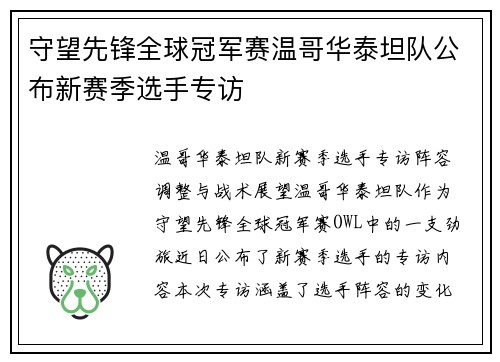 守望先锋全球冠军赛温哥华泰坦队公布新赛季选手专访 守望先锋全球冠军赛温哥华泰坦队公布新赛季选手专访