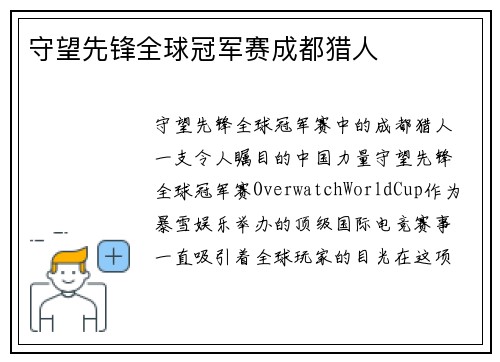 守望先锋全球冠军赛成都猎人
